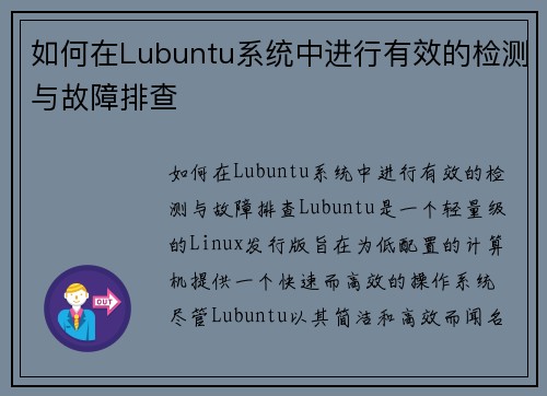 如何在Lubuntu系统中进行有效的检测与故障排查